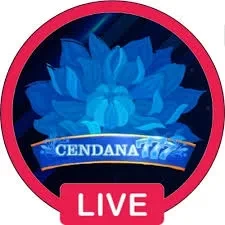 cendana777 Terbaru: Download APK dan Info Lengkap dan hw777: Rangkuman Brand yang Banyak Dicari